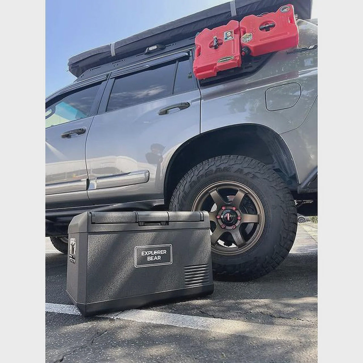 12V Car Fridge 50L 12/24V DC 110-240V AC Portable Freezer Compressor Cooler 0 H-50 H 3-Year Warranty
