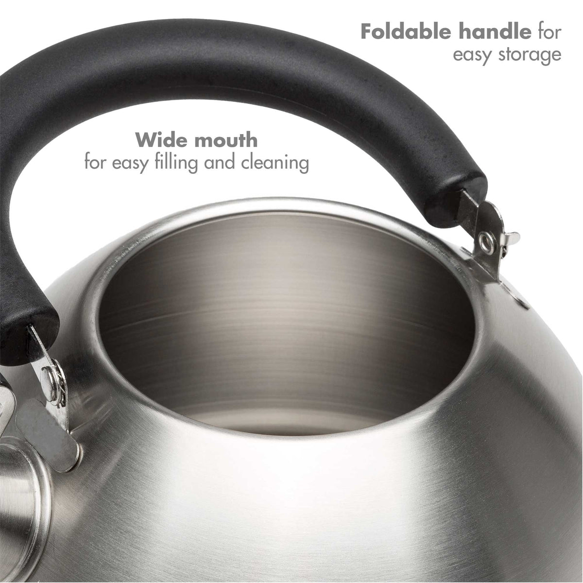 Stainless Steel Stovetop Kettle, 1.4-L
