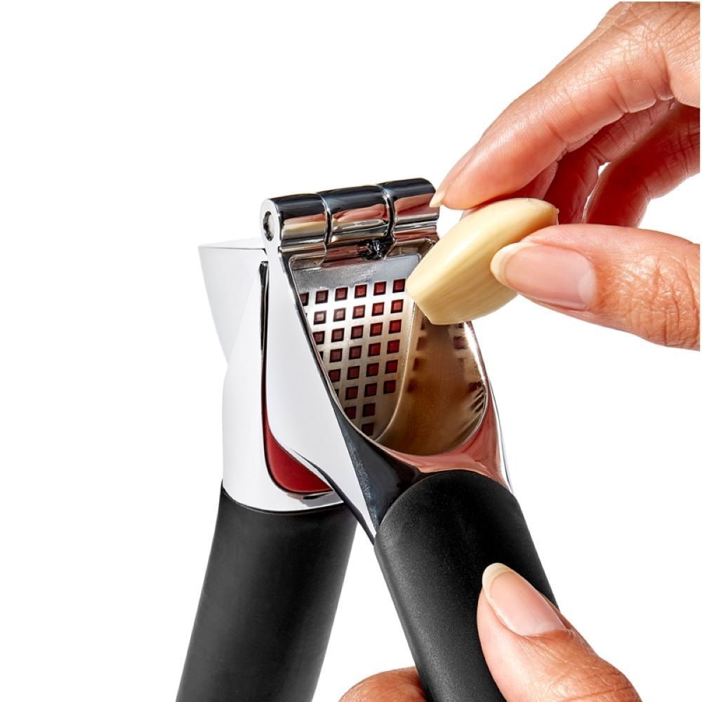 Stainless Steel Garlic Press