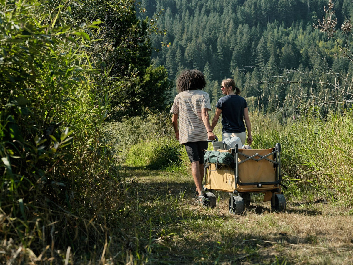 Woods Overlander Fully Equipped Folding Wagon, 102-kg Capacity