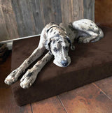 Fashion oversized dog bed (XL size, dark gray) - Thickness 7 inches, soft and comfortable, ergonomic cushion - Oversized dog bed - Durable and washable microfiber cover