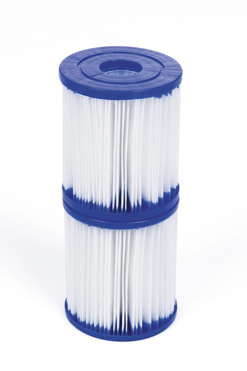 58168 Type I Replacement Swimming Pool Filter Cartridges, 2-pk D2195