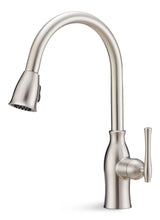Lisa Single-Handle High Arc Pull-Down Kitchen Faucet, Brushed Nickel