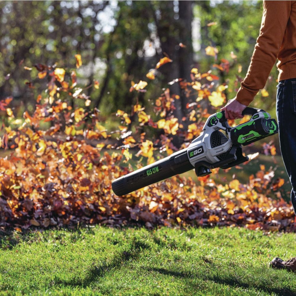 56V Brushless Cordless 615 CFM Leaf Blower, Includes (1) 2.5Ah Battery and (1) 210W Standard Charger, LB6151