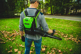 Pro 60 V 160 MPH - 540 CFM Lithium-ion Backpack Leaf Blower, Tool Only