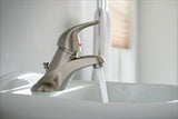 Adler Single Handle Bathroom Faucet, Spot-resistant Brushed Nickel