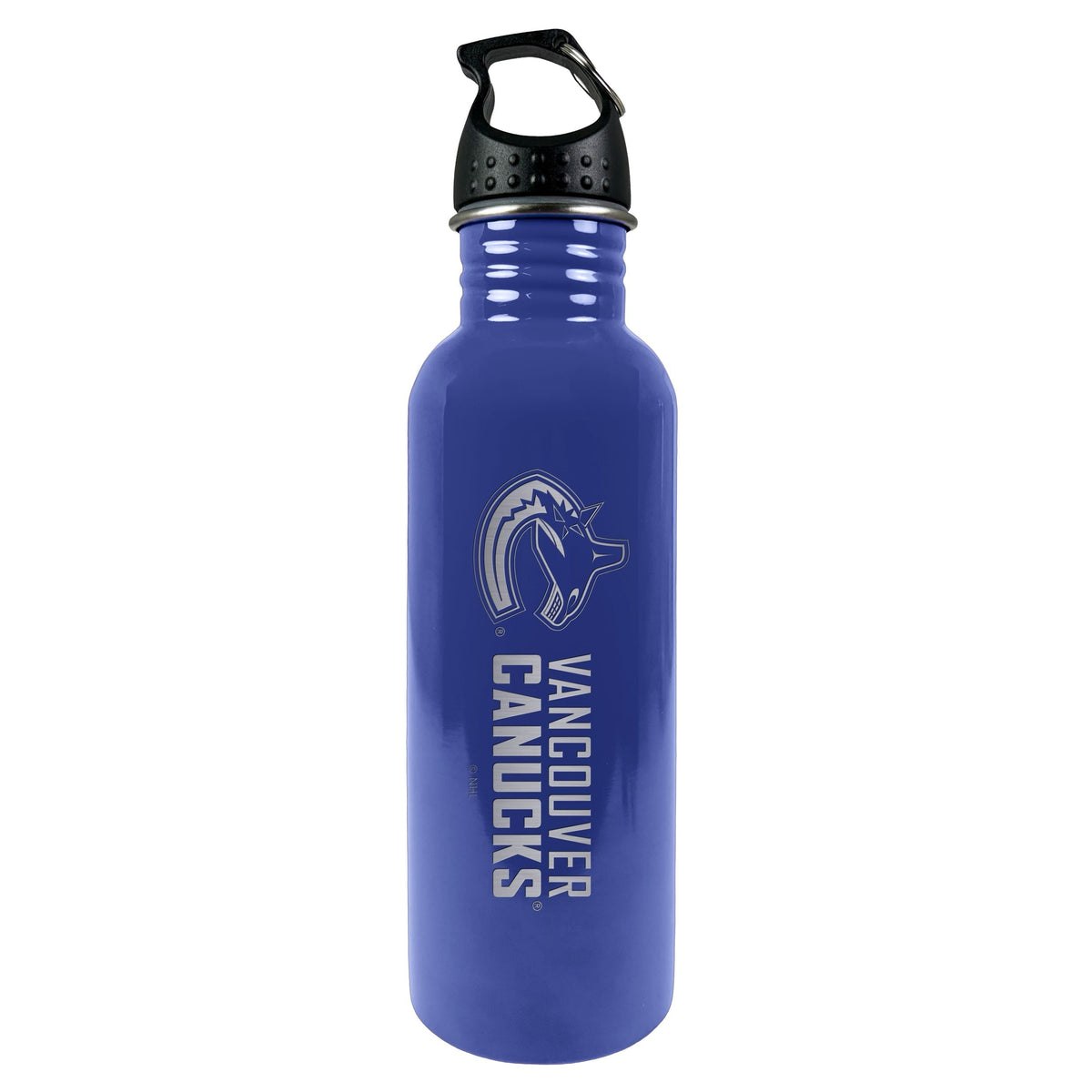 Stainless Steel Water Bottle, 25-oz