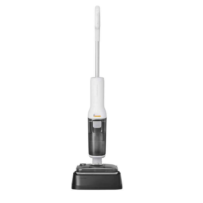 Roborock F25 RT F9966