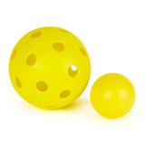Paddle Pickle Ball Set