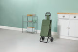 Type A 2-Wheel Shopping Cart, Holds Up to 33-lb