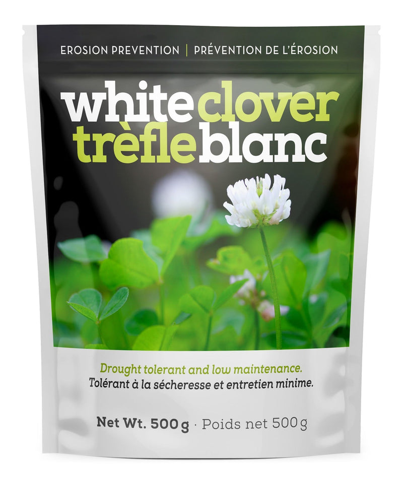 White Clover Erosion Control Grass Seed 500g L2212